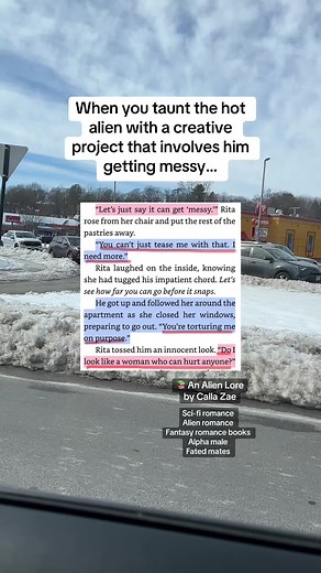 Lisa’s Romance Library on TikTok