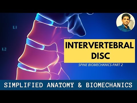 INTERVERTEBRAL DISC SIMPLIFIED | ANATOMY | BIOMECHANICS OF SPINE[ Part 2]