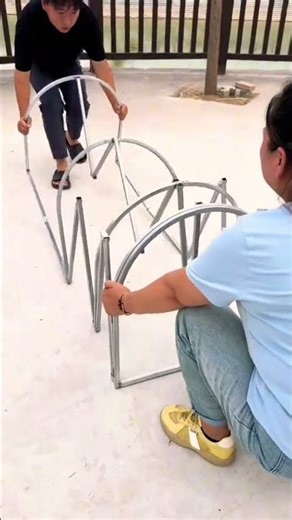 #chicken #freerangechickens #freerangeeggs #funny #funny #farming #free