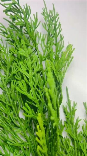 24” Real Touch Cedar Stem Artificial Greenery Branch for Christmas Holiday Winter Decor - Etsy