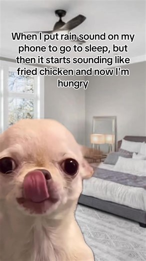 Rain Sounds for Sleep and Food Cravings