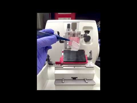 FFPE Thin Sectioning with Microtome