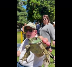 Who did it best? See California Capitol Frog Jump contestants show their skills