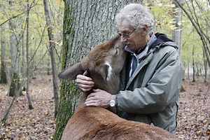 Gérald Jovelin, garde forestier près de Grosley-sur-Risle, a domestiqué les animaux du bois