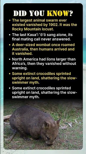 History Erased These Creatures Without a Trace