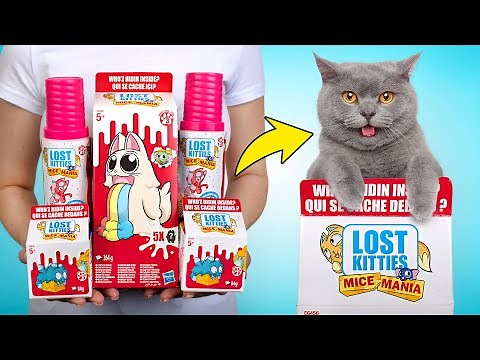 Wir öffnen neues Spielzeug von den Lost Kitties! | Wer versteckt sich da drin?🐁❤️🐈