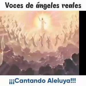 ꧁༒Aleluya༒꧂ . Voces de ángeles cantando ¡Aleluya! Esta grabación se originó en un ensayo de una Iglesia Evangélica en los Estados Unidos, un hermano dejo encendida una grabadora para analizar los ensayos y esta sería la sorpresa... | Palabras Del Alma