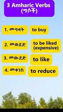 Three Basic Amharic Verbs in English #learn #amharic