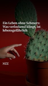Es gibt Menschen, die keine Schmerzen empfinden. Sie kennen keine Magenkrämpfe oder Geburtsschmerzen. Was beneidenswert klingt, ist für viele ein Fluch. #schmerz #gesundheit | NZZ Neue Zürcher Zeitung