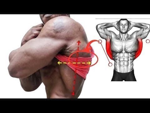 10 Effective Lower Lats Exercises to Build 3D Big Lats