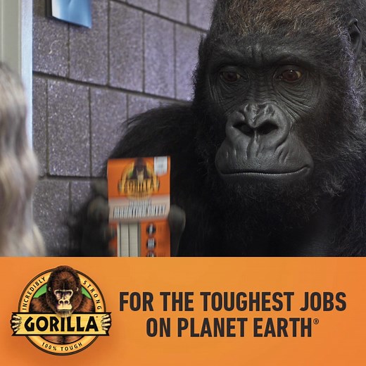 Gorilla Mounting Putty holds instantly and lifts off easily for quick classroom refreshes | The Gorilla Glue Company