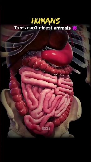 Humans vs Carnivorous Plants💀🌴 #Shorts #Science #Biology #Trees #Earth