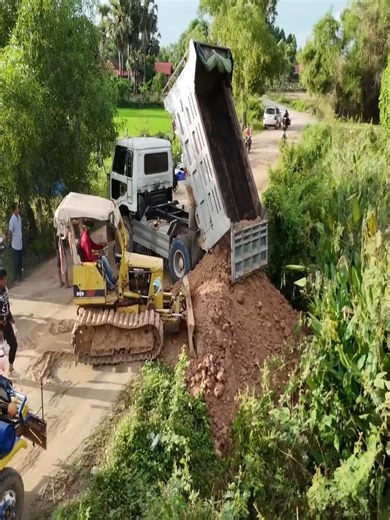 FULL OPERATION COMPLETE! Clearing Trees & Filling Small Pond Using Mini Dozer and 5T Soil Truck | Sova