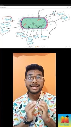 Structure Of Bacteria 🦠🧫 #biology #bsc #college