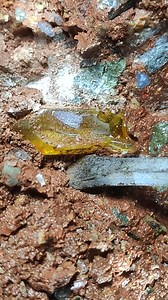 The warm, golden glow and translucence of this object are captivating! ✨ Could it be amber? What do you think? Share your guesses! 👇#GoldenGlow #YellowHue #Translucent #Beautiful #Captivating | SocialSphere Central