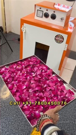 Rose Petals Drying Process Flowers And Food Dehydrator Machine | Vegetable Dryer 2025 #dryer #flower