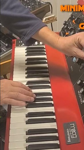 Pure sounds minimoog d#minimoog #geddylee #graal7