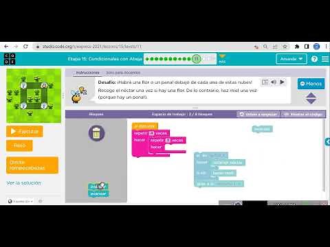 Etapa 15 Condicionales con Abeja