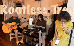 Rootless Tree - Damien Rice 大生兔练习版