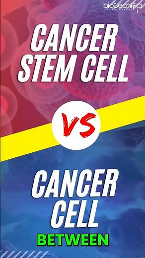 "Cancer Cells vs. Cancer Stem Cells: The Shocking Difference You NEED to Know!"