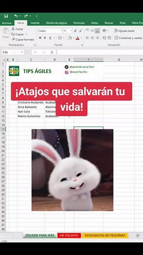 👉Aprende los secretos de Excel y conviértete en un experto. 📊👈 #excelfacil #cursoexcel #excel #exceltutoriales #exceltips #microsoftexcel #analisisdedatos #formulaexcel #cursoexcelonline #excelcurso #estudiantes #superexcel #exceltutoriales #aprendeentiktok #cursoexcel Créditos: excelnautas2.0 -tiktok | Secretos de Excel