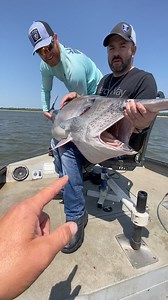 30K views · 700 reactions | Have you ever seen a fish this big? | Keystone Lake Paddlefish Charters | Facebook