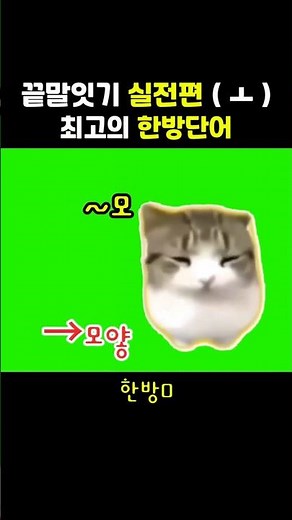 실전에서 아주 많이 쓰는 (ㅗ) 끝말잇기 한방단어 (담담디디디디 버전) #땁이도사
