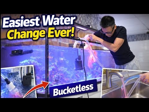 The Cleanest, Fastest Water Change for Reef Tanks