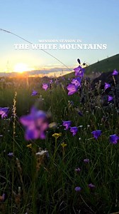 6.2K views · 72 reactions | This season has truly been beautiful so far  #visitpinetoplakeside #visitarizona #welcometoarizona #westbysouthwest #goodvibes #monsoonseason #monsoons #mountains #azblogger | Visit Pinetop-Lakeside, AZ | Facebook