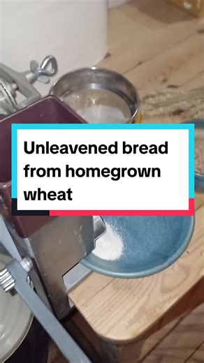 Homemade Unleavened Bread from Homegrown Wheat
