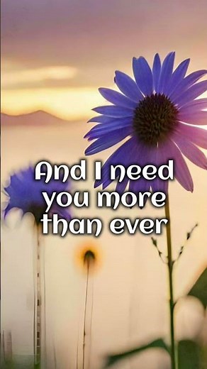 Bonnie Tyler | Total Eclipse Of The Heart (Turn Around) | Lyrics | #turnaround #totaleclipse #foryou