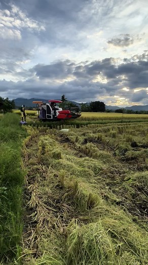 #teamkambal♥️♥️ #dc70plus🌾🌾 #hogico75hp