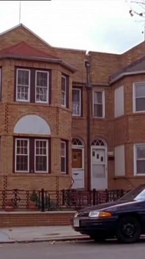 Seinfeld Sitcom Series: Frank's Infestation Dilemma