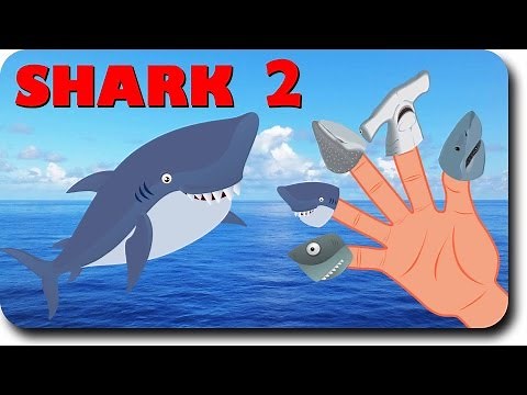 Finger Family Shark Family Nursery Rhyme | Animal Finger Family | Fish Finger Family for children