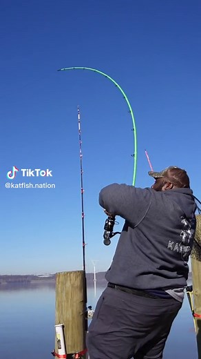 Screaming Drag! This fish that got away #bigfish #fishingrod #fishinggear #fisherman #fishinglife #fishingtiktoks #fishing