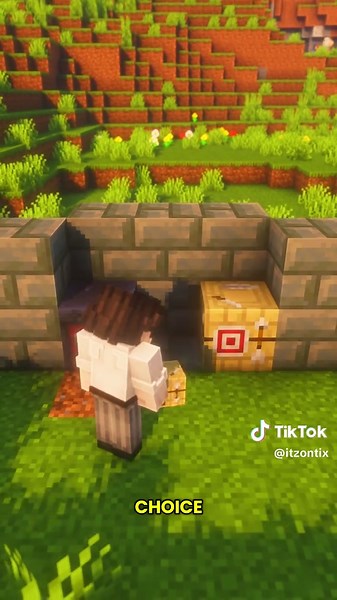 Block swapper #minecraft #minecraftbuilding #minecraftideas