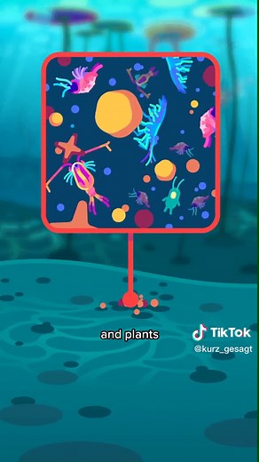 Understanding this isn't difficult, you just need to know biology, chemistry, physics, geology and every other science in the existence 🥰 #inanutshell #kurzgesagt #kurzgesagt_inanutshell #learnwithtiktok #science #biologyclass #learnbiology #oceanography #chemistrytok #oceanscience #saltysea #didyouknowthis #geographyfacts