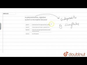 In platyhelminthes, digestive system is incomplete because