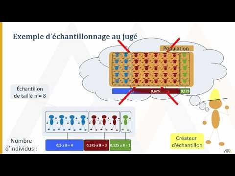 Échantillonnage au jugé