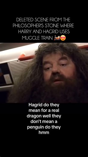 288K views · 5.8K reactions | Deleted Scene: Hagrid and Harry travels from the Muggle Train  | Harry Potter is life | Facebook