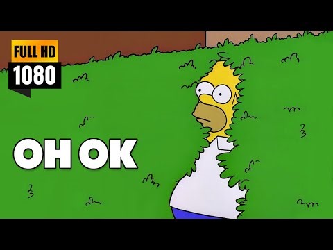 Homer Simpson OH OK Meme
