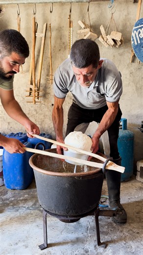 The strange story of casu marzu, Sardinia’s famous maggot cheese