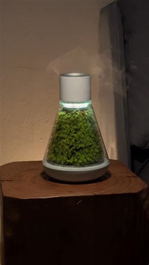 Here's why the Oasis Planter is a must-have for your space: ✅ Easy care – water every couple of weeks ✅ Purifies the air – breathe cleaner, feel better ✅ Boosts humidity – goodbye dry skin & fatigue! ✅ Kills 99% of bacteria – silver ion sterilization ✅ Aromatherapy magic – relax, focus, recharge ✅ RGB mood lighting – match your vibe Reserve today and unlock an exclusive VIP discount at launch!  | Oasis Home Appliance | Facebook