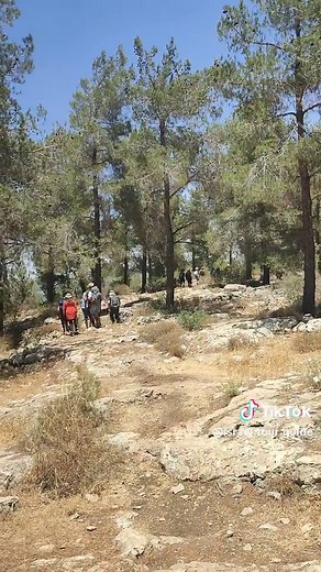 hiking in the nature in Israel is an amazing experience that you should not miss. here we are in the forest in the hills outside of Jerusalem.