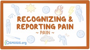 Pain: Recognizing and reporting pain: Video, Causes, & Meaning | Osmosis
