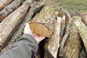 Tous mes trucs et astuces pour obtenir du bois de chauffage gratuit (ou presque )
