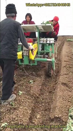 Efficient Vegetable Transplanter in Action – Transforming Agricultural Productivity!