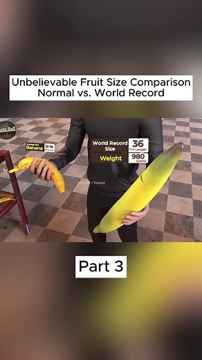 #databall #3d #comparison #foryou #world #size