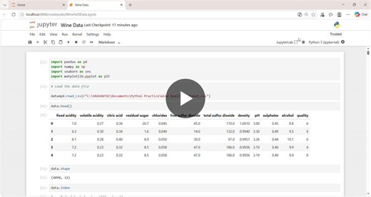 #dataanalytics #python #dataanalysis #eda #internshipjourney | Sravanthi sabbidi