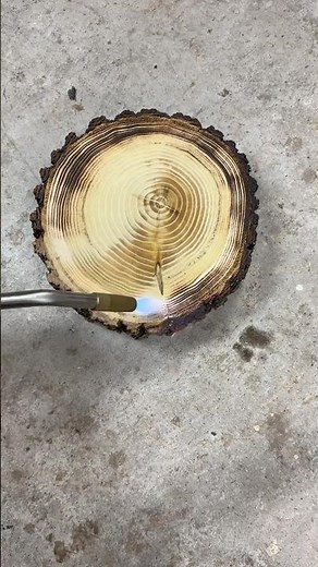 Making tree ring prints